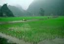 TOURISTS IN Hoa Lu - Tam Coc Tour